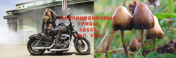 MESCALINE Краснотурьинск