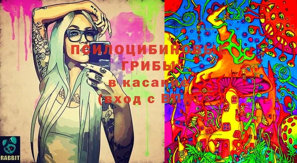 дживик Красноперекопск