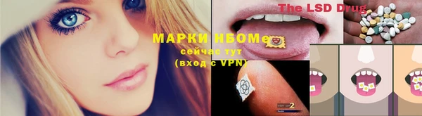 гидропоника Краснослободск