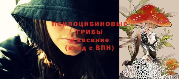 гидропоника Краснослободск